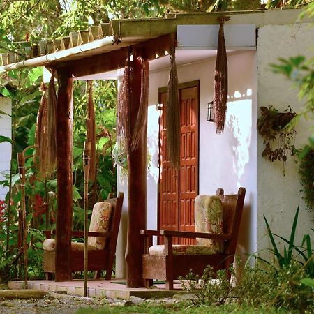 Вилла Casa A Beira Do Rio Jaguareguava Na Mata Atlantica Em Bertioga Sp Экстерьер фото