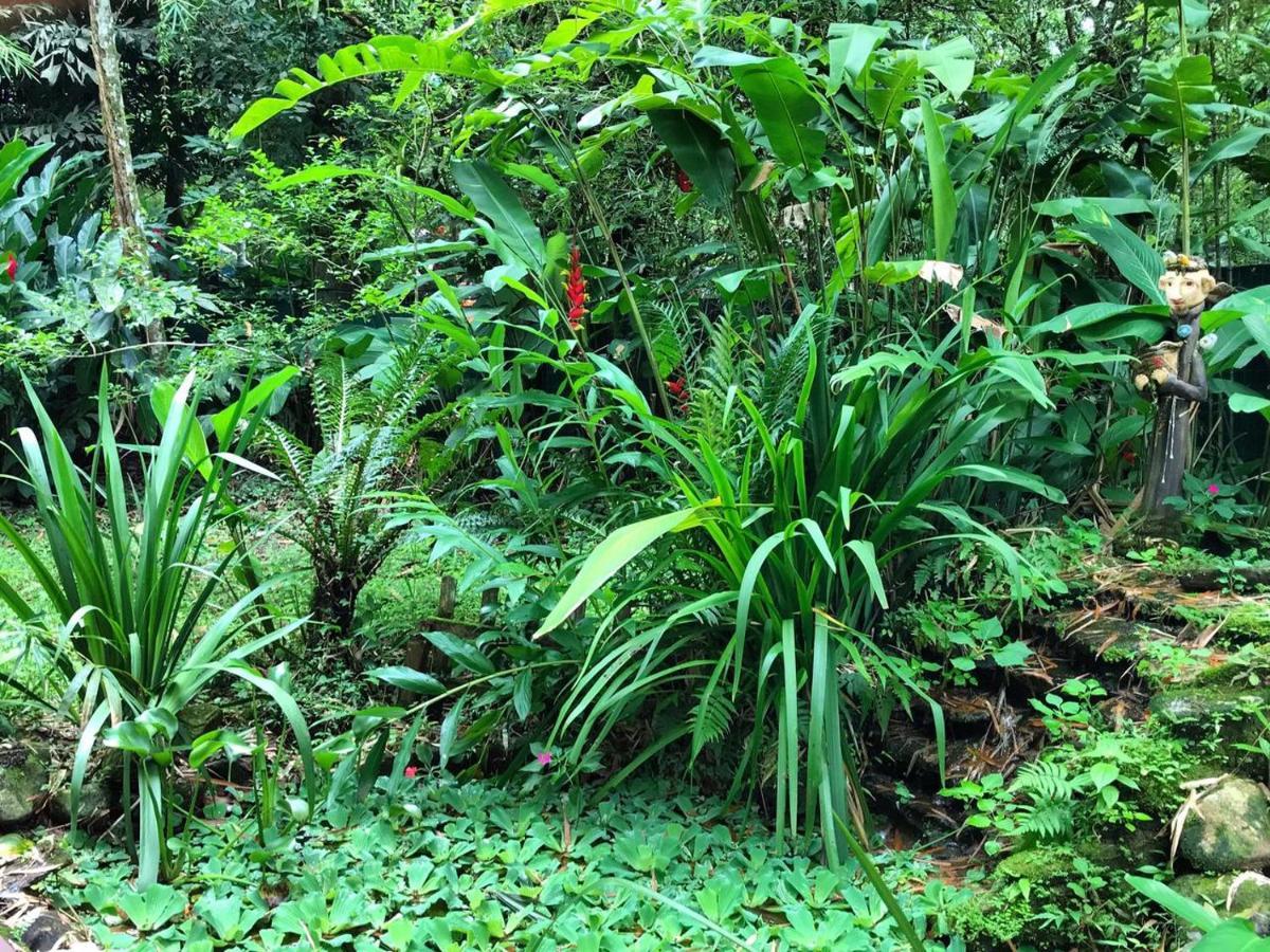 Вилла Casa A Beira Do Rio Jaguareguava Na Mata Atlantica Em Bertioga Sp Экстерьер фото