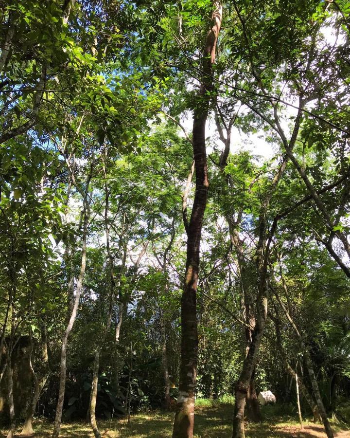 Вилла Casa A Beira Do Rio Jaguareguava Na Mata Atlantica Em Bertioga Sp Экстерьер фото